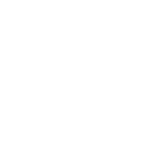 Chauffeur Service Badge